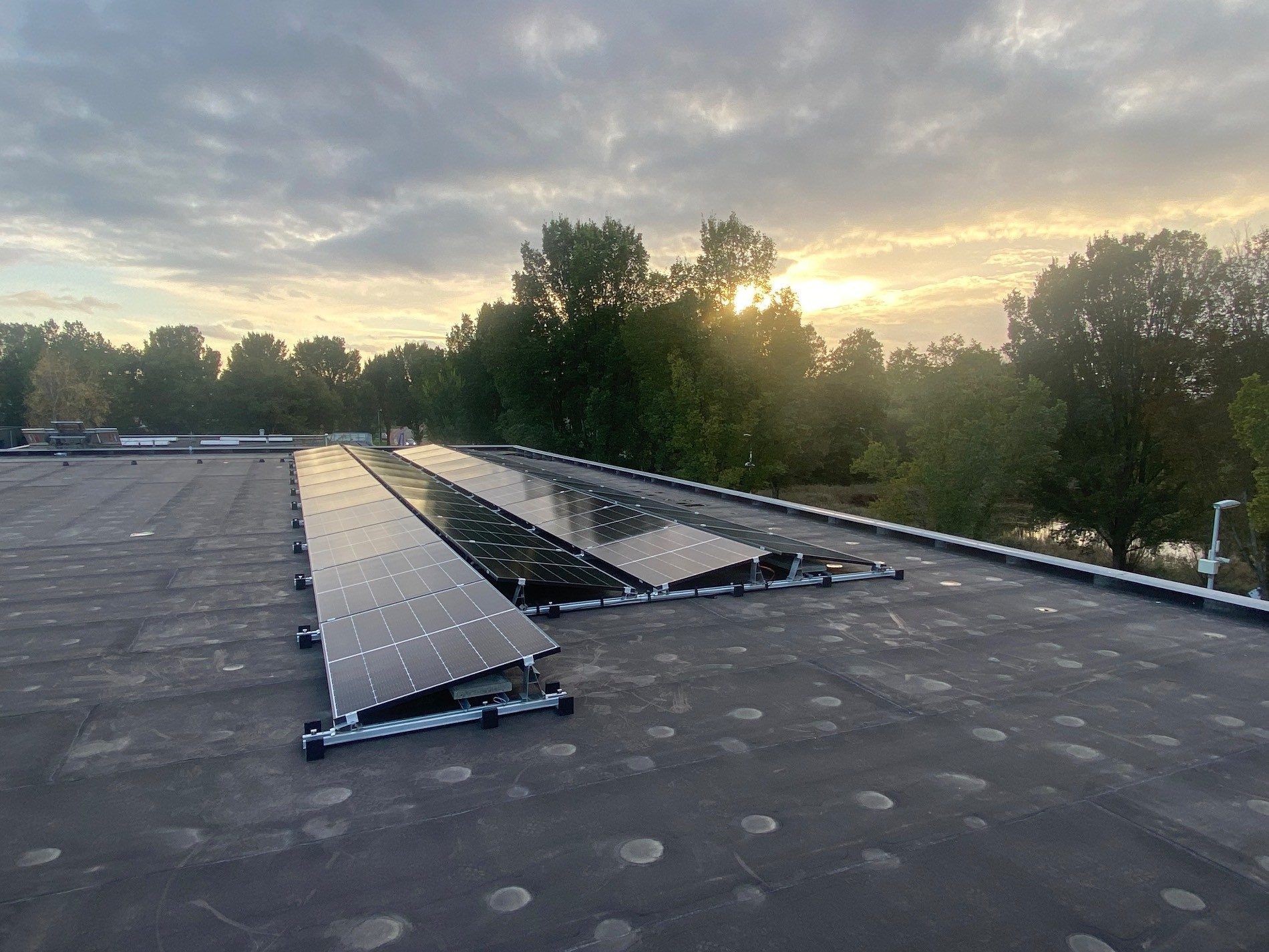 Zonnepanelen op het dak van Woltex — 41 panelen