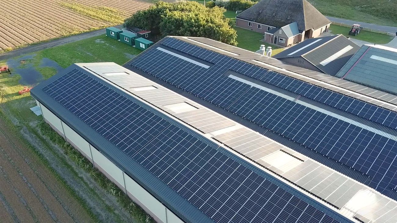 Het zonnepanelen installatie van J.W. Smit Bloembollen vanaf boven.